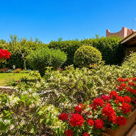 Garden *